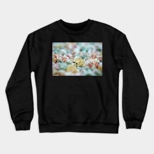 Turkish delight closeup Crewneck Sweatshirt